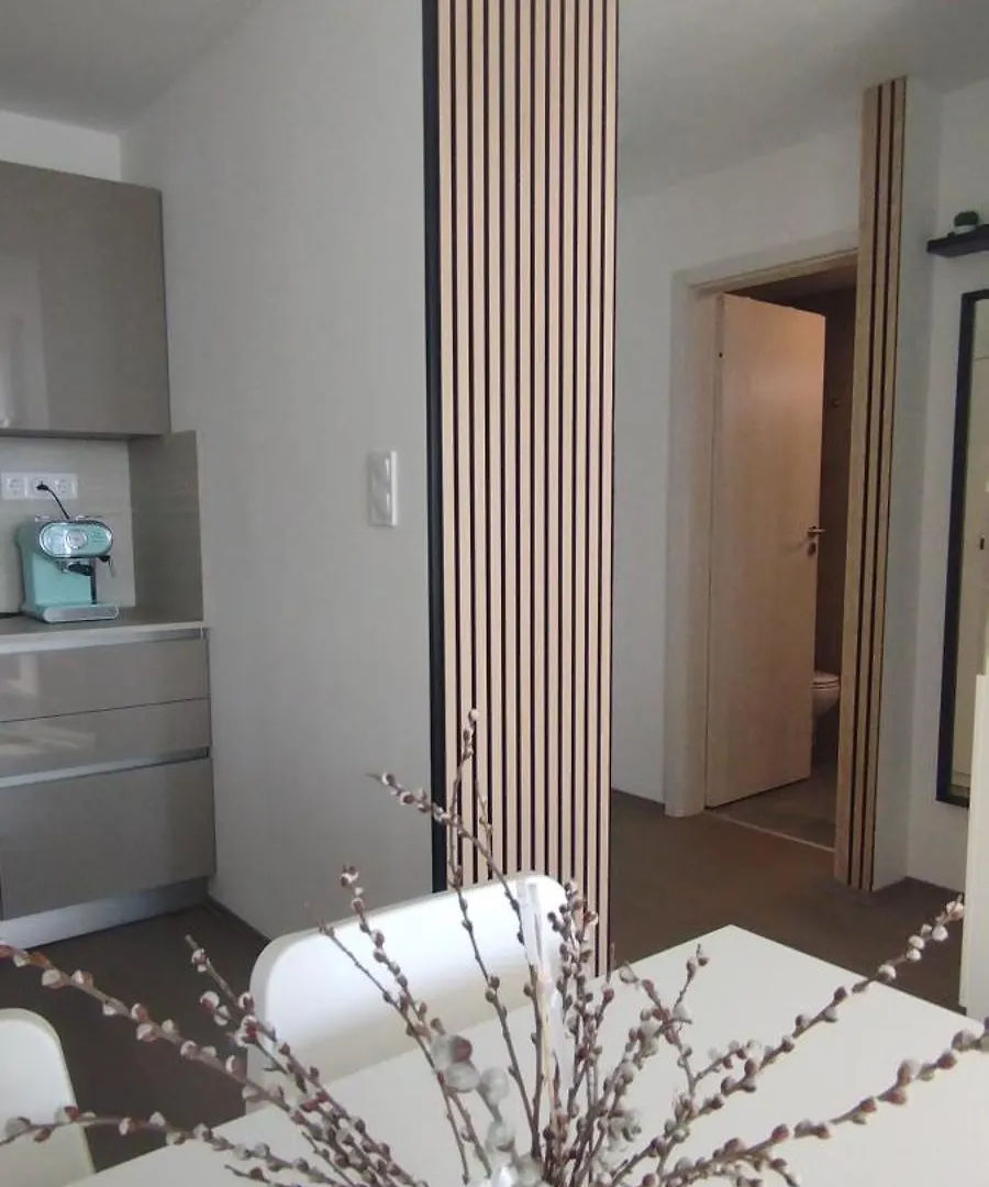 Appartamento Cedrus Liget Apartman - Szeged
