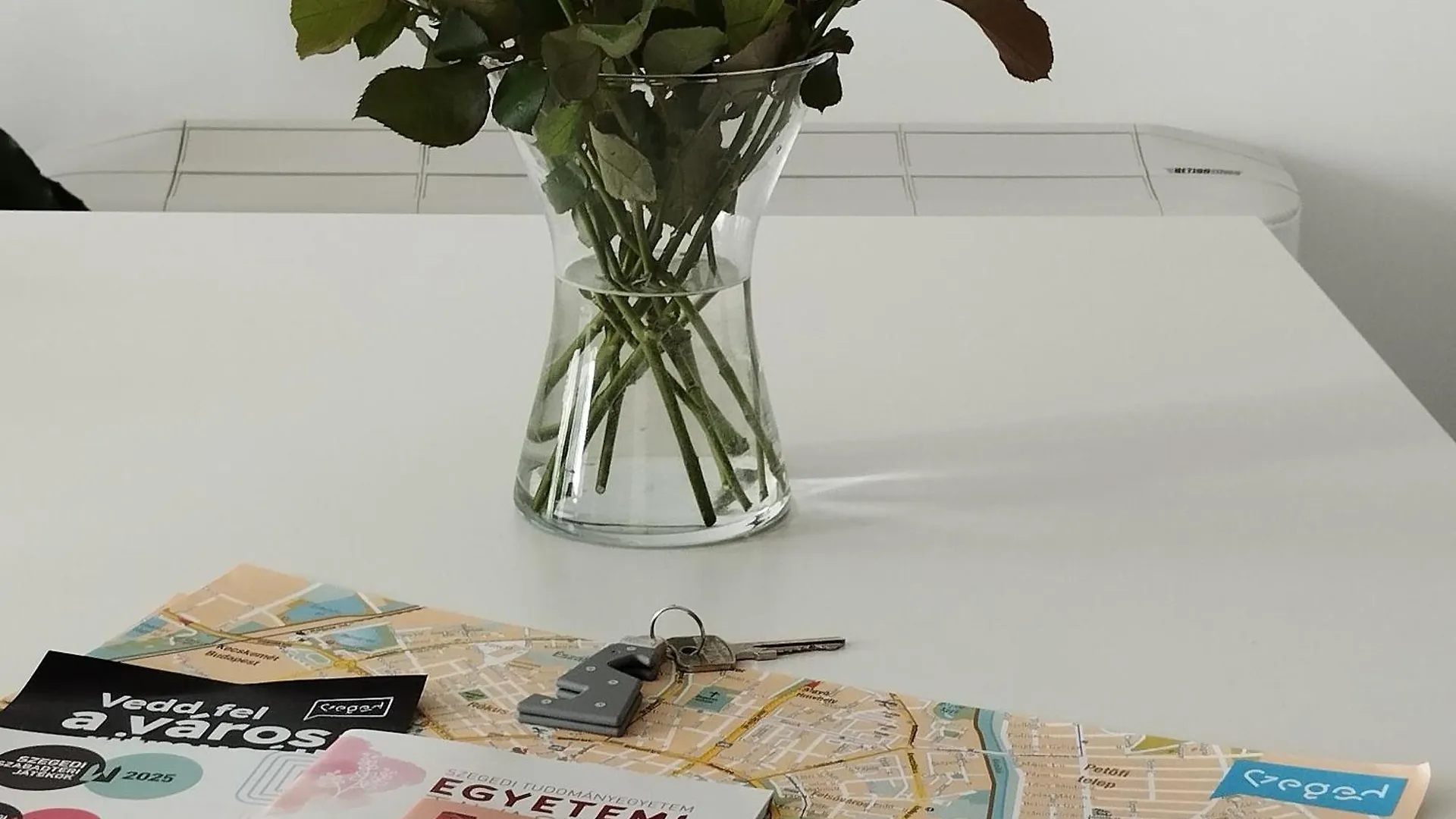 Appartamento Cedrus Liget Apartman - Szeged